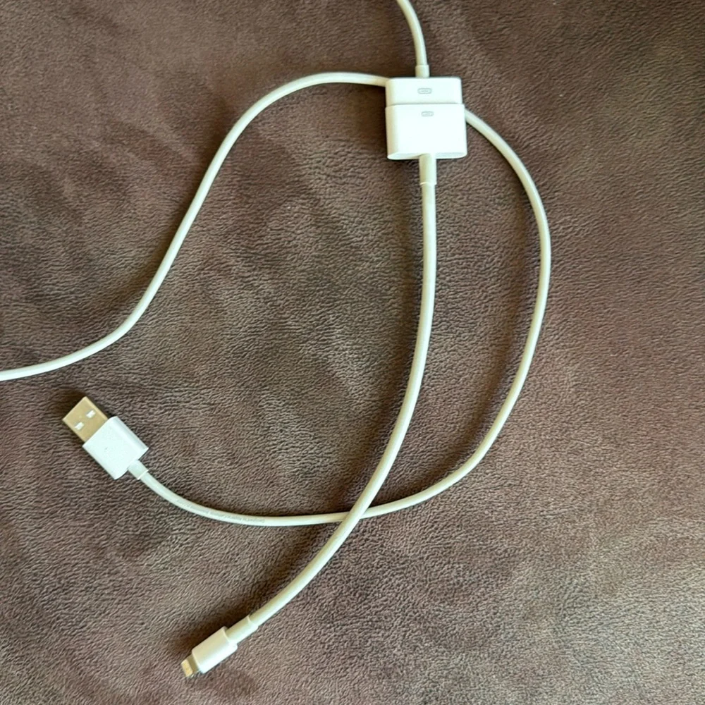 Apple Adapting Cable